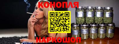 спиды Моздок