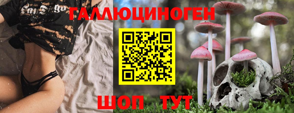 Галлюциногенные грибы мицелий Истра